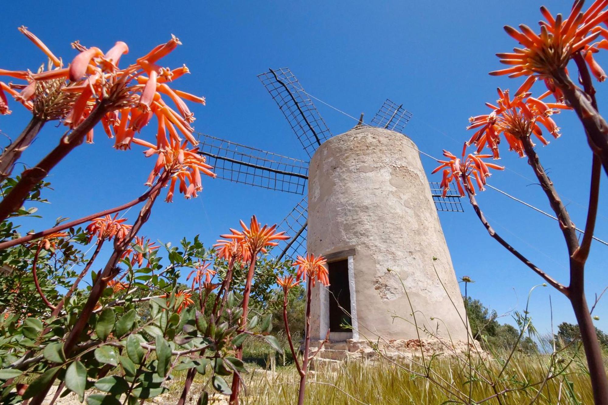 Voga Mari - Astbury Formentera Apartment Playa Migjorn Exterior photo